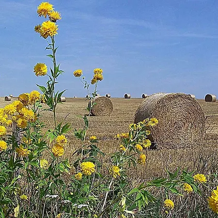 Gospodarstwo U Krakusa Alojamento de Turismo Rural *