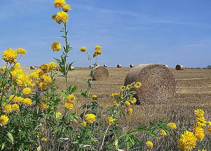 Gospodarstwo U Krakusa Farm stay *