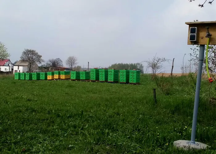 Gospodarstwo U Krakusa Farm stay